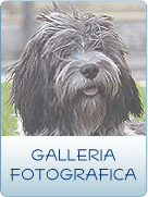 GALLERIA FOTOGRAFICA