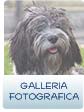 GALLERIA FOTOGRAFICA